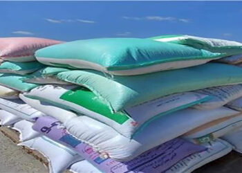 توريد 21694 طن قمح لشون وصوامع في البحيرة