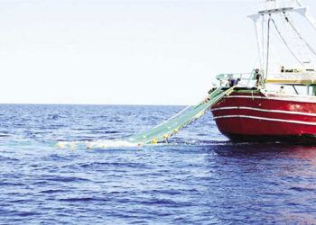 منع صيد وتداول أسماك البحر الأحمر بالمطاعم والأسواق 75 يومًا