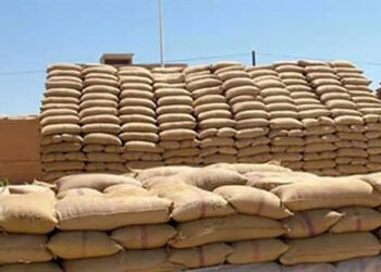 الزراعة : الحجر الزراعى ينجح في تسهيل ابحار احدى الشاحنات المحملة بـ 63 ألف طن قمح كانت معلقة بالموانئ الروسية