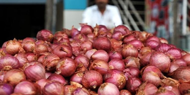 شعبة الخضراوات: تراجع أسعار البصل والطماطم والثوم 50% بسبب بشائر الموسم الجديد