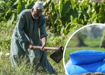 رئيس الوزراء يبحث سبل تشجيع صناعة الأسمدة للتوسع وزيادة حجم صادراتها