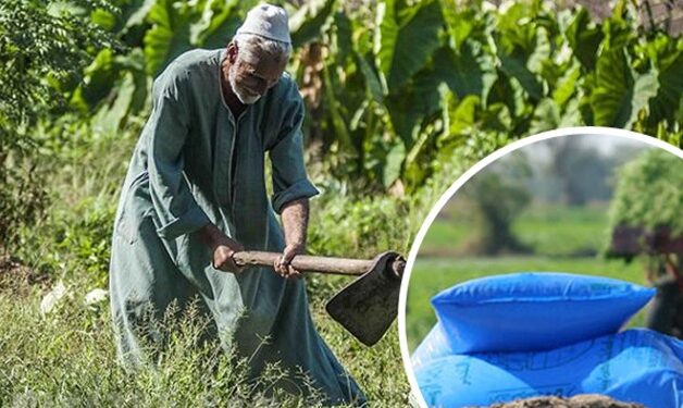 رئيس الوزراء يبحث سبل تشجيع صناعة الأسمدة للتوسع وزيادة حجم صادراتها