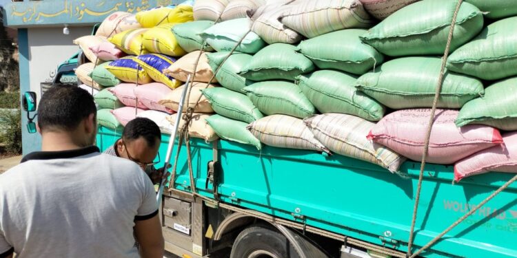 البنك الزراعي المصري يبدأ استلام محصول القمح من المزارعين والموردين في 190 موقعاً على مستوى الجمهورية