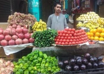 أسعار الخضار