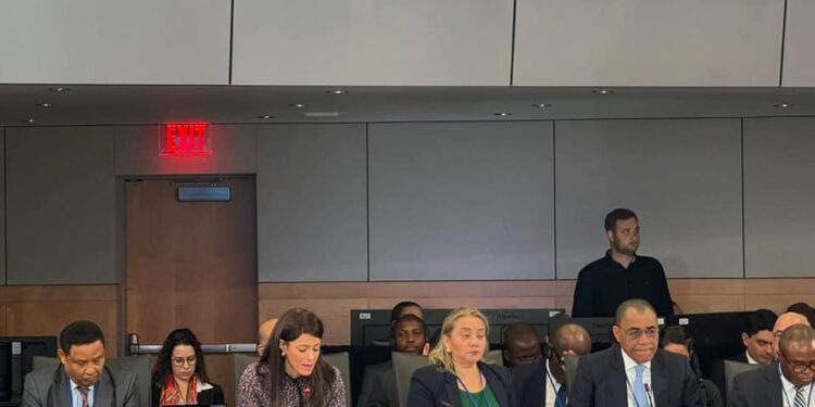 المشاط: نؤيد دعوة مجموعة الـ24 لخفض الرسوم الإضافية لصندوق النقد الدولي أو إلغائها