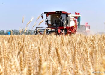 الزراعة: جهاز التنمية الشاملة يوزيع 70 ماكينة حصاد قمح على قرى محافظتى سوهاج والشرقية