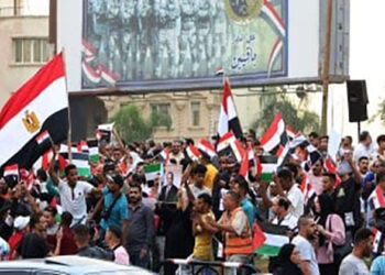 الآلاف يتظاهرون بالجيزة وسوهاج لدعم فلسطين وجهود الرئيس السيسى