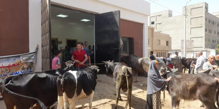 “التناسليات الحيوانية” ينظم قافلة بيطرية مجانية بكفر الشيخ