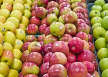 22 مليون دولار تراجعا بواردات مصر من التفاح فى شهر واحد