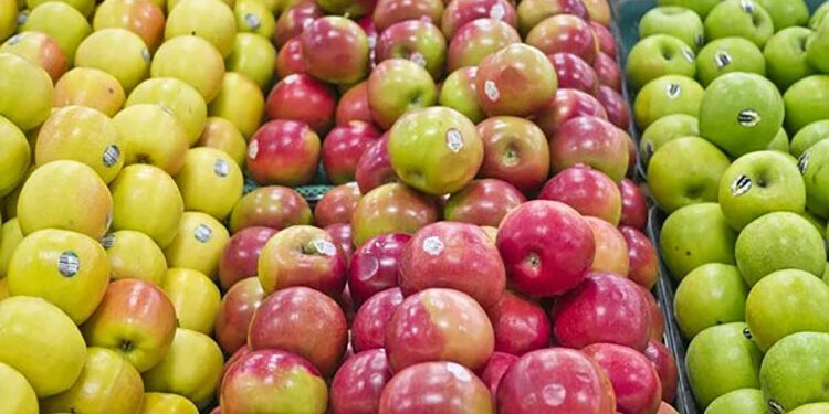 22 مليون دولار تراجعا بواردات مصر من التفاح فى شهر واحد