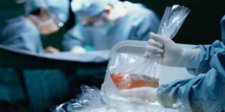 حقيقة انتشار عصابات لتجارة الأعضاء تخطف الأطفال لبيع أعضائهم