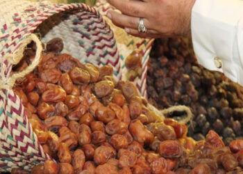 عضو بالحاصلات الزراعية: إدخال نوعين من التمور المصرية للتصدير للسوق الأردنى