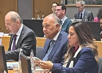 شكري يدعو إلى ضرورة تضافر التحركات العربية والأوروبية للوقف الفوري للحرب الإسرائيلية على غزة