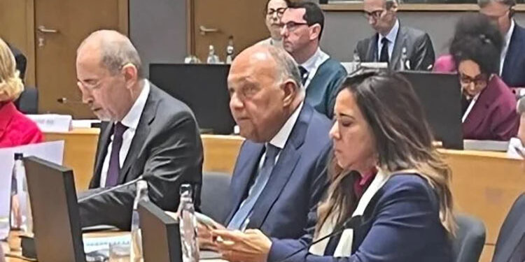 شكري يدعو إلى ضرورة تضافر التحركات العربية والأوروبية للوقف الفوري للحرب الإسرائيلية على غزة