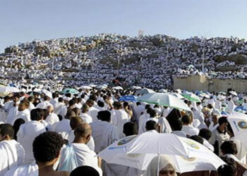 السياحة: قرب إنهاء إجراءات برامج الحج البري.. و150 أتوبيس لنقل الحجاج