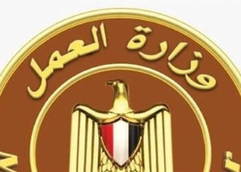 وزارة العمل تعلن عن فرص عمل للمصريين فى الإمارات