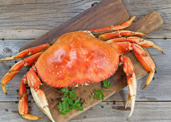 ماذا يحدث لجسمك عند تناول الكابوريا؟