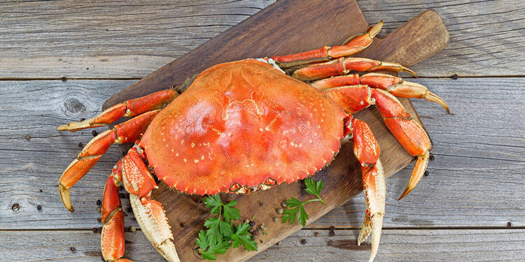 ماذا يحدث لجسمك عند تناول الكابوريا؟