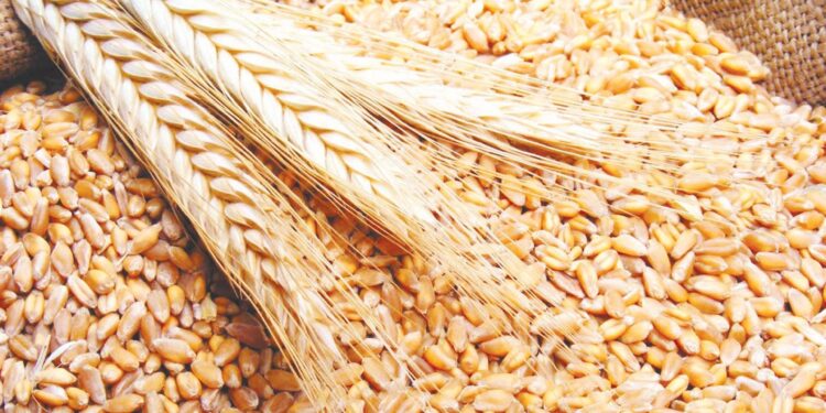 وزير التموين : وصول نسب توريد القمح في مواقع الاستلام إلى 2 مليون و 400 ألف طن