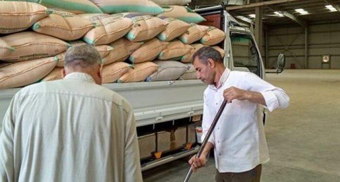 مواقع إستلام القمح تفتح أبوابها أمام المزارعين خلال إجازة شم النسيم