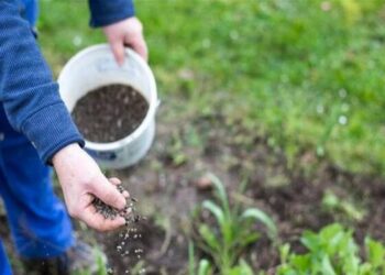 129 مليون جنيه أرباح كفر الزيات للمبيدات خلال الربع الأول من 2024