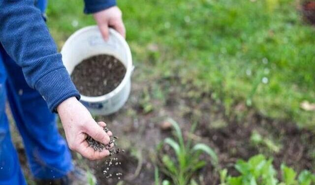 129 مليون جنيه أرباح كفر الزيات للمبيدات خلال الربع الأول من 2024
