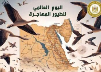 وزيرة البيئة تعلن مشاركة مصر في الاحتفال باليوم العالمي للطيور المهاجرة ٢٠٢٤