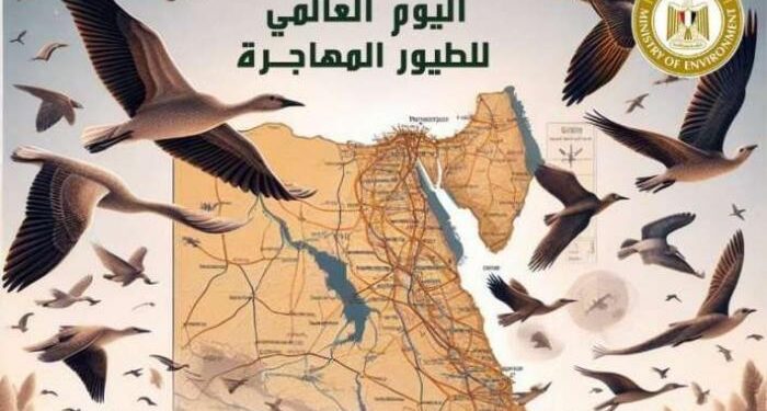 وزيرة البيئة تعلن مشاركة مصر في الاحتفال باليوم العالمي للطيور المهاجرة ٢٠٢٤