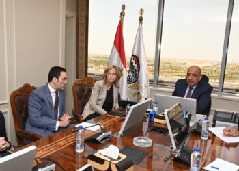 وزير قطاع الأعمال يبحث مع سفيرة النرويج مجالات التعاون المشترك وفرص الاستثمار