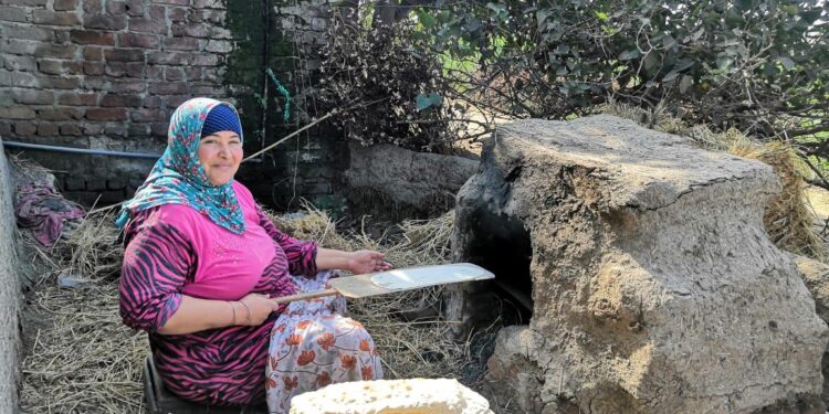 الاحصاء: 55.4٪ من إجمالي عدد الأسر تعيش في الريف