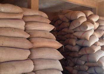 ضبط 24 طن قمح قبل نقلهم من المنيا إلي بني سويف بدون تصريح