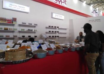 مصر تشارك فى معرض السلام الدولي بتنزانيا بجناح يضم 25 شركة