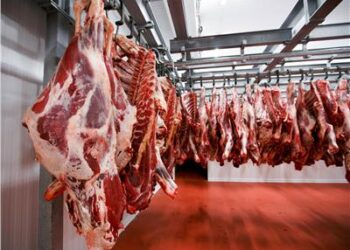 وزير التموين : ضخ 150 طن يومي من اللحوم الطازجة بــ 1500 منفذ