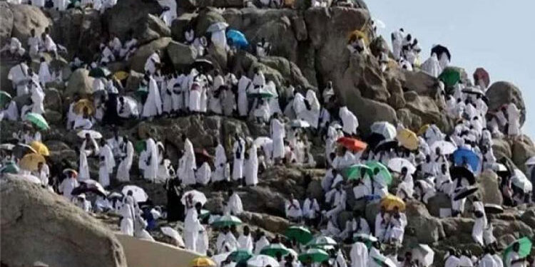 الصحة: نقل 27 حالة من الحجاج المصريين إلى مستشفيات المشاعر المقدسة