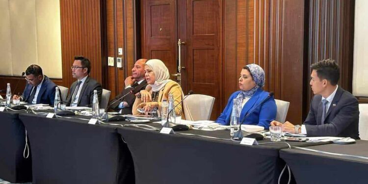 وزارة التخطيط تخصص 4,9 مليار جنيه لمحافظة المنوفية.. تفاصيل