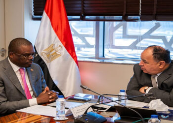 وزير المالية : حريصون على دعم المسار القارى لتعزيز الاستدامة المالية للنظم الصحية الأفريقية