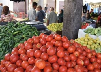 أسعار الخضار والفاكهة اليوم الإثنين