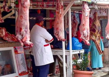 أسعار اللحوم الحمراء في مصر اليوم الأحد