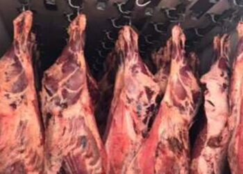 أسعار اللحوم الحمراء في مصر اليوم الجمعة