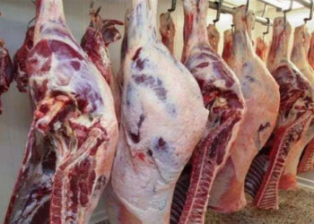 أسعار اللحوم الحمراء في مصر اليوم الخميس