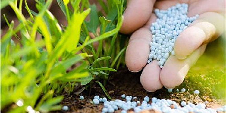 حقيقة إصدار قرار برفع الدعم عن الأسمدة الزراعية بدءاً من الموسم الزراعي المقبل