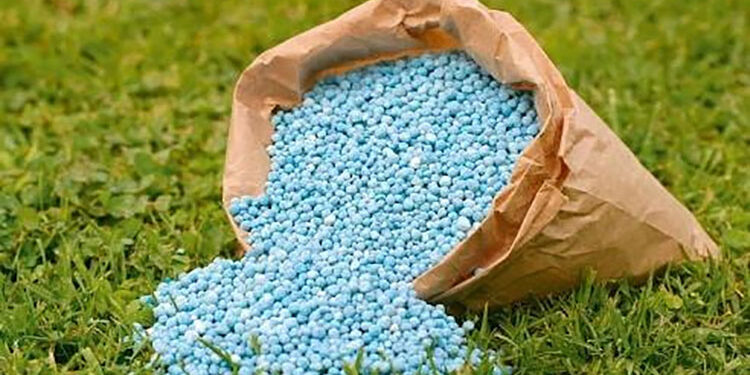 أسعار الأسمدة أزمة مؤقتة أم ارتفاع دائم؟ .. مستشار وزير الزراعة يُوضح