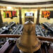 البورصة المصرية تستأنف التداول الأحد المقبل