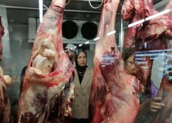 أسعار اللحوم الحمراء في مصر اليوم الإثنين