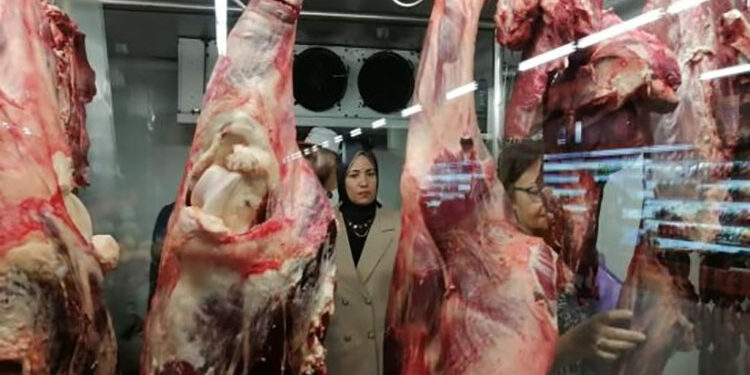 أسعار اللحوم الحمراء في مصر اليوم الأربعاء