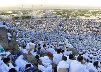 “الجمارك السعودية”: نعمل على تسهيل إجراءات دخول الحجاج وتقديم أفضل الخدمات لضيوف الرحمن