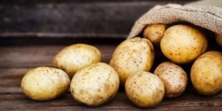 تصدير 330 ألف طن بطاطس بقيمة 131 مليون دولار في 6 أشهر