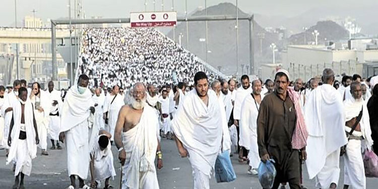 الافتاء: تأشيرة الحج عنصر من عناصر الاستطاعة ويجب احترام الإجراءات