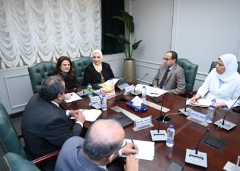 القباج وجندي تناقشان آلية إنشاء صندوق “حماية وتأمين المصريين بالخارج”