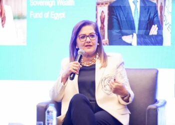 وزيرة التخطيط تبحث سبل التعاون مع وزير التنمية الاقتصادية الروسي